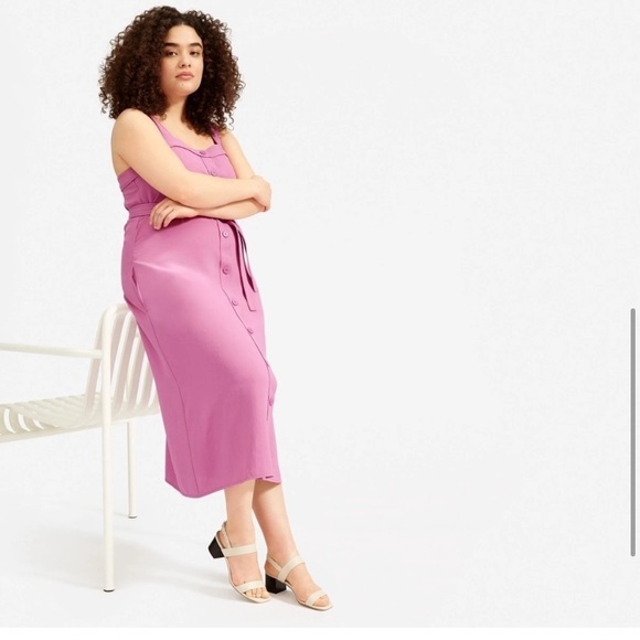 Everlane The Japanese Goweave Picnic Dress - Picture 2 of 6